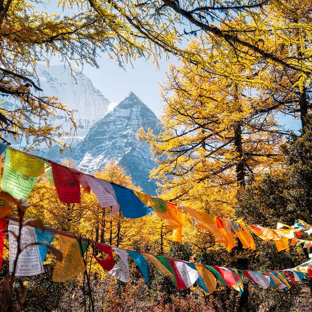 Buddhist Prayer Flags Online - 2